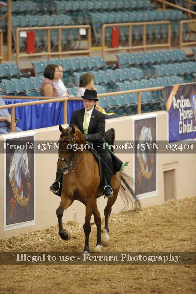 Proof 15YN_03401
