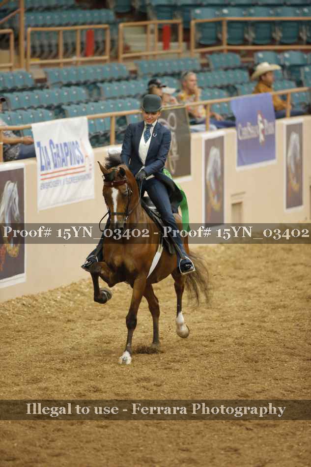 Proof 15YN_03402