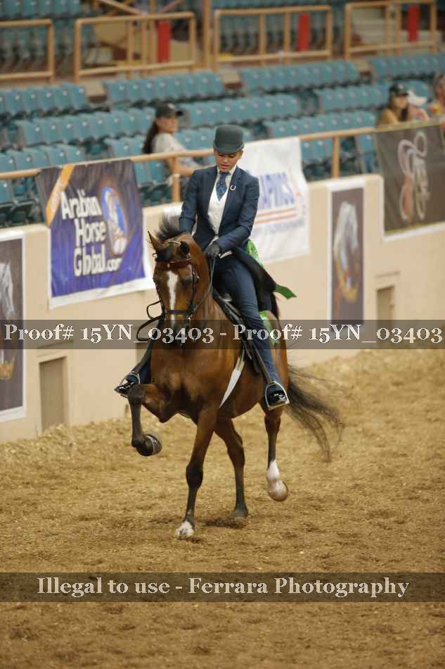 Proof 15YN_03403