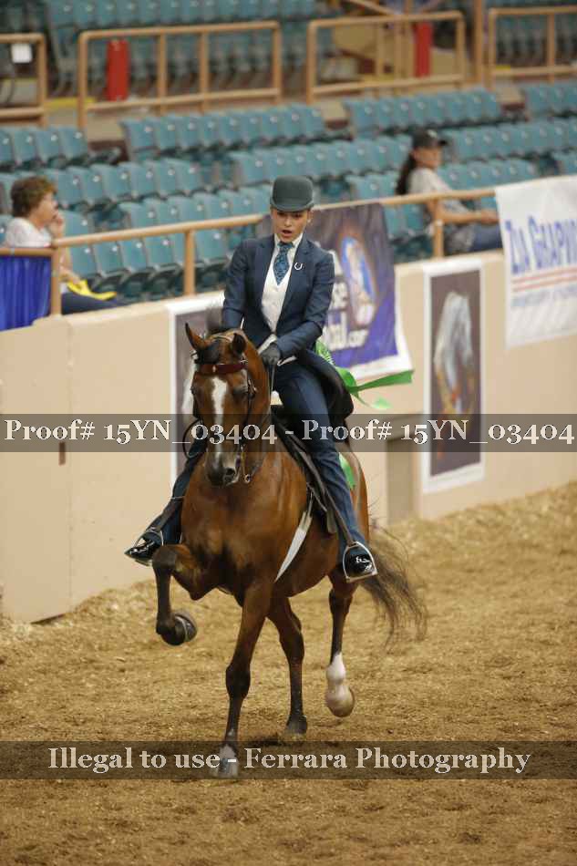 Proof 15YN_03404