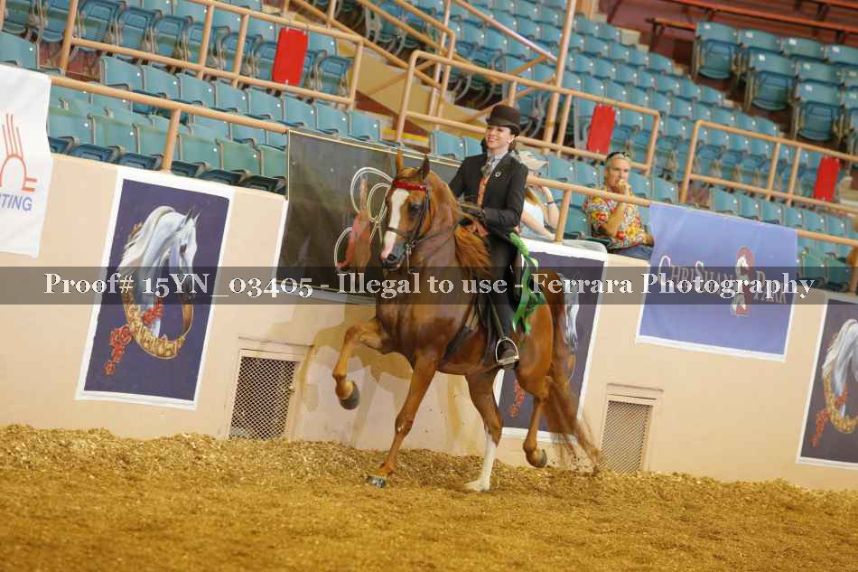 Proof 15YN_03405