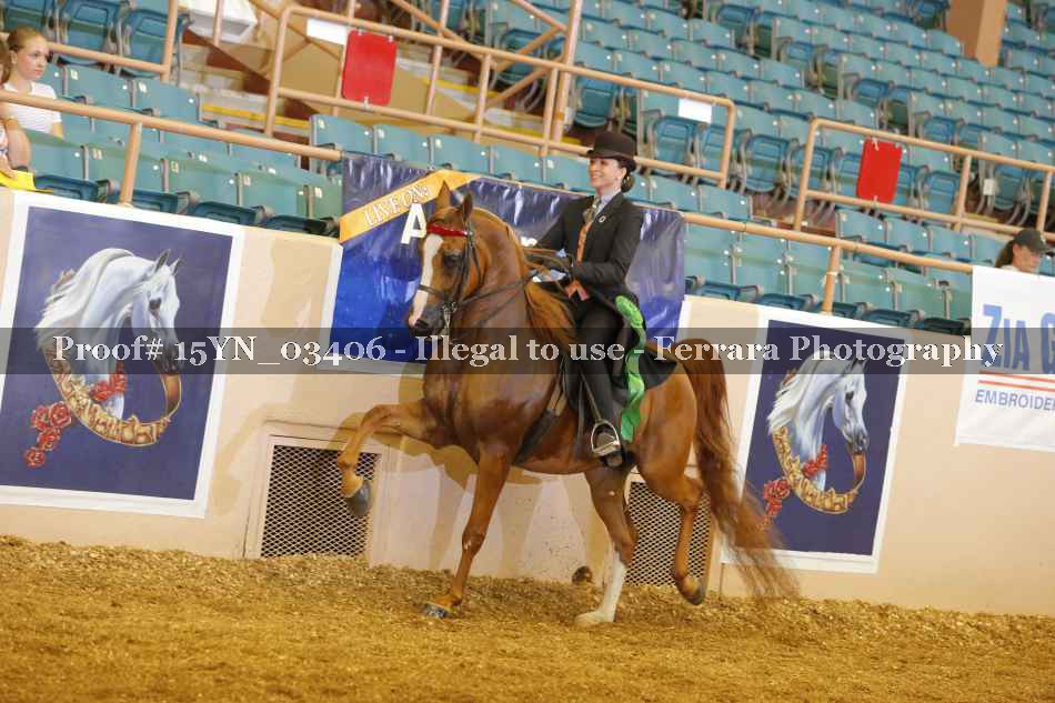 Proof 15YN_03406