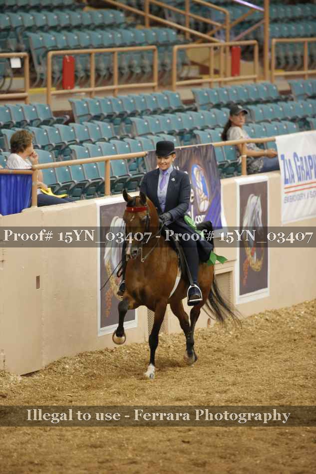 Proof 15YN_03407