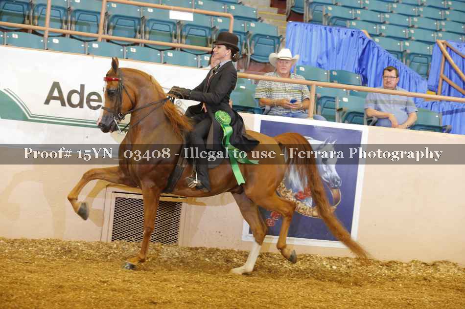 Proof 15YN_03408