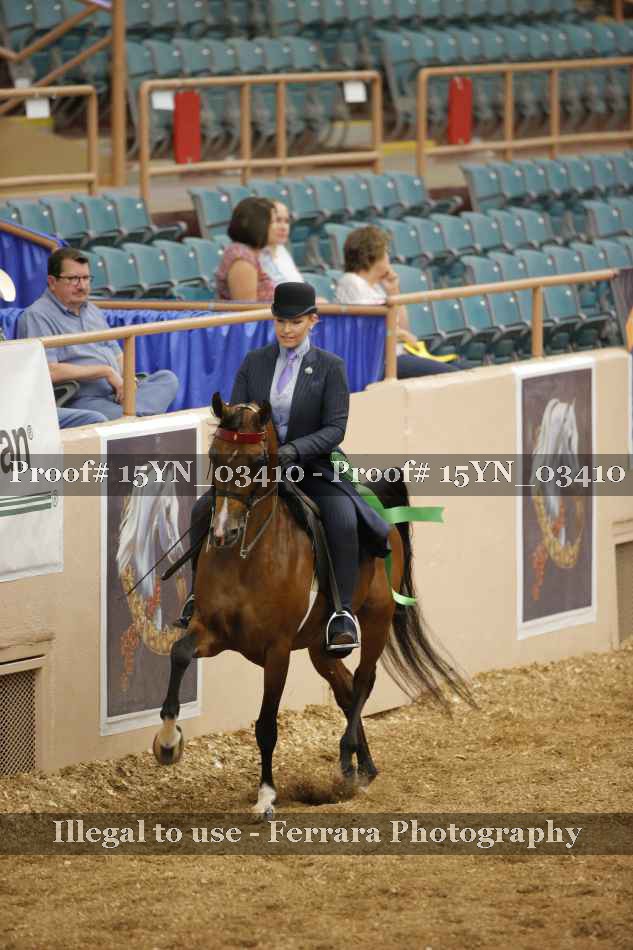 Proof 15YN_03410