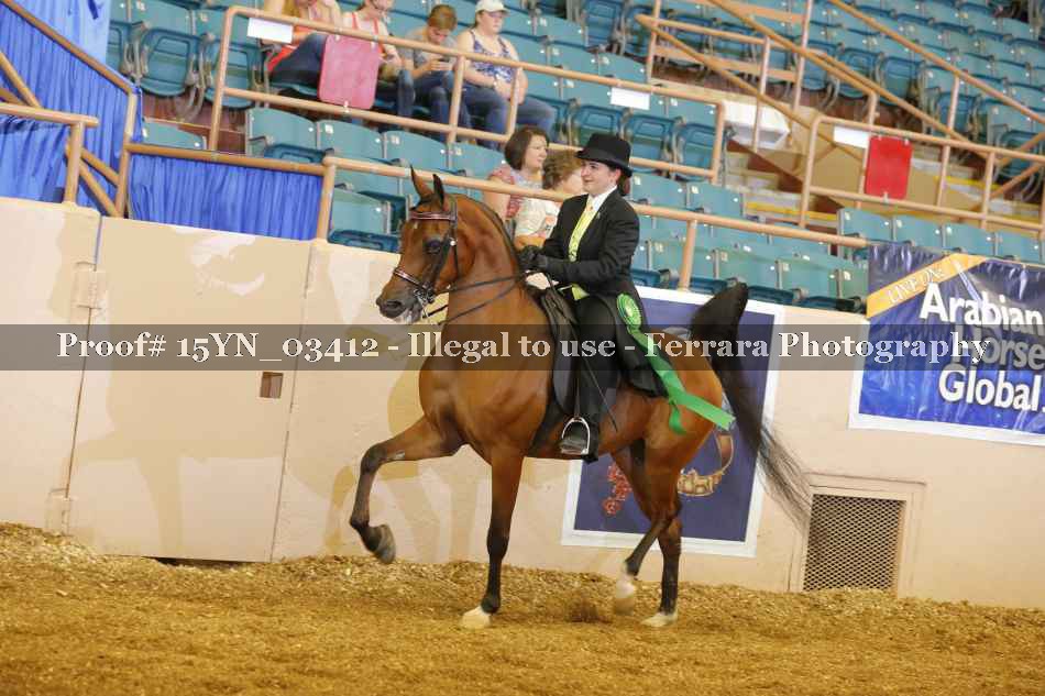 Proof 15YN_03412