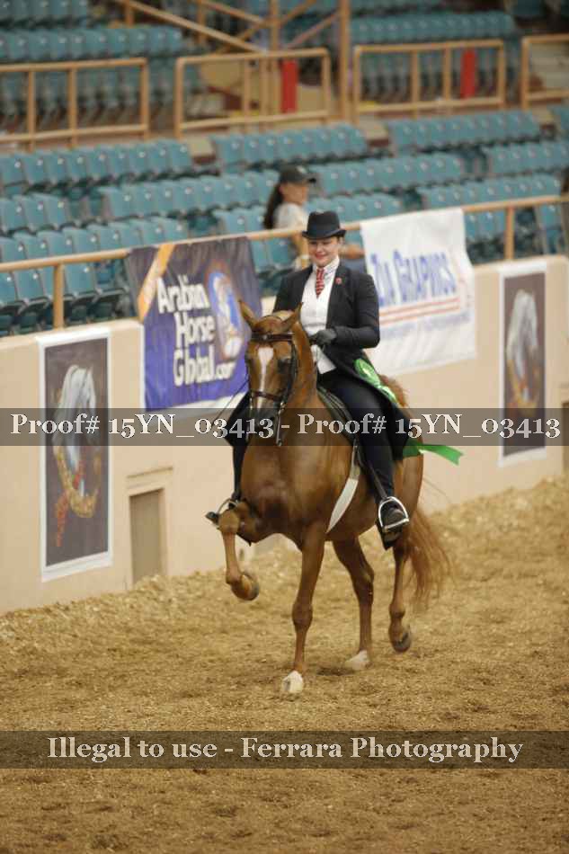 Proof 15YN_03413