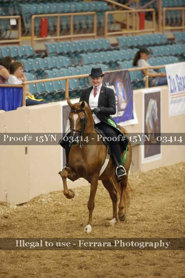 Proof 15YN_03414
