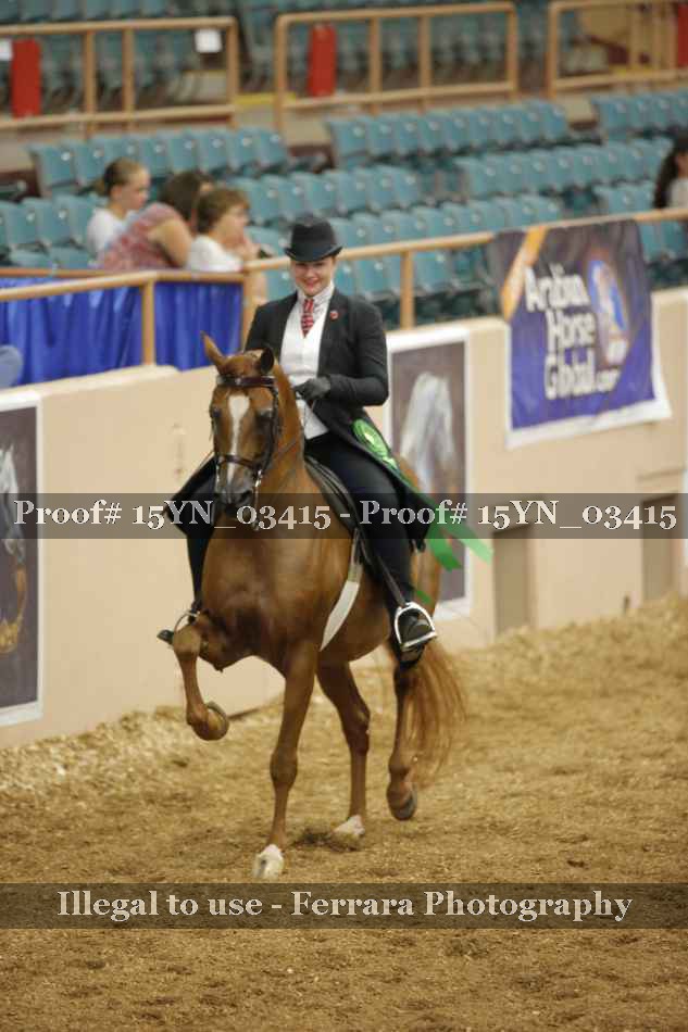 Proof 15YN_03415
