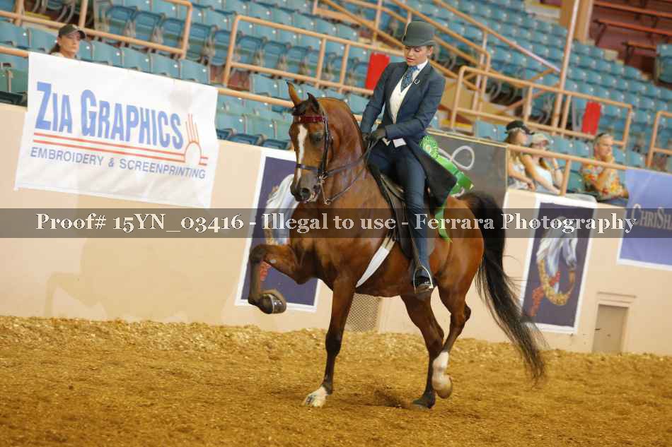 Proof 15YN_03416