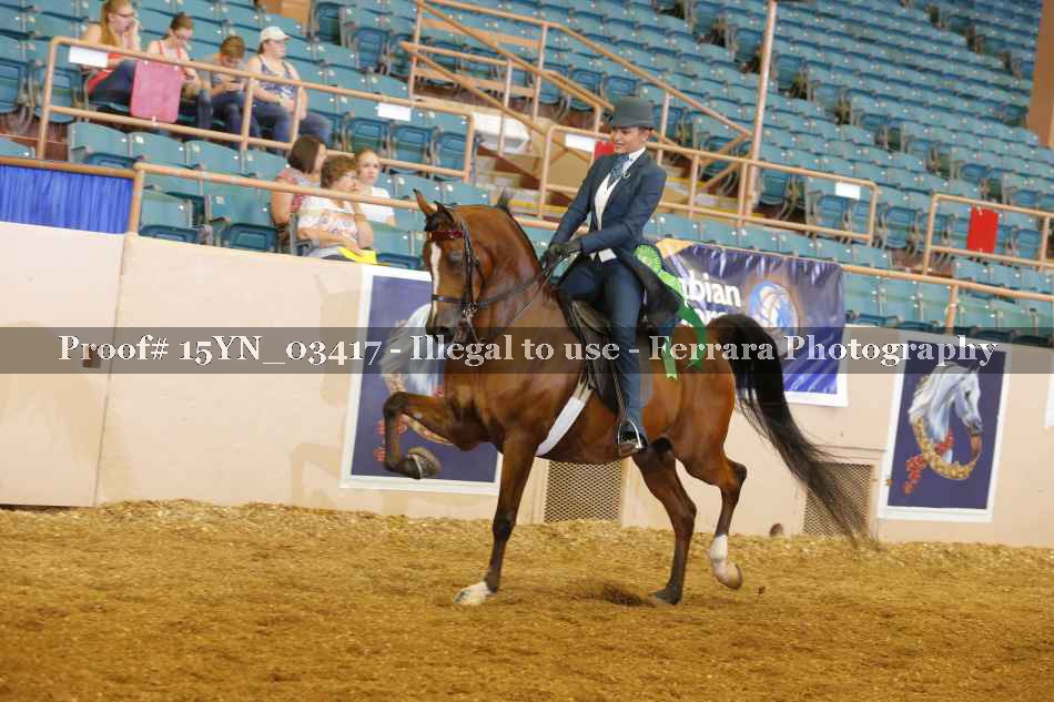 Proof 15YN_03417