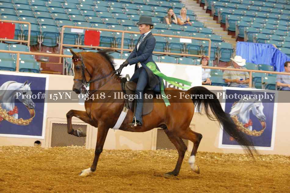 Proof 15YN_03418