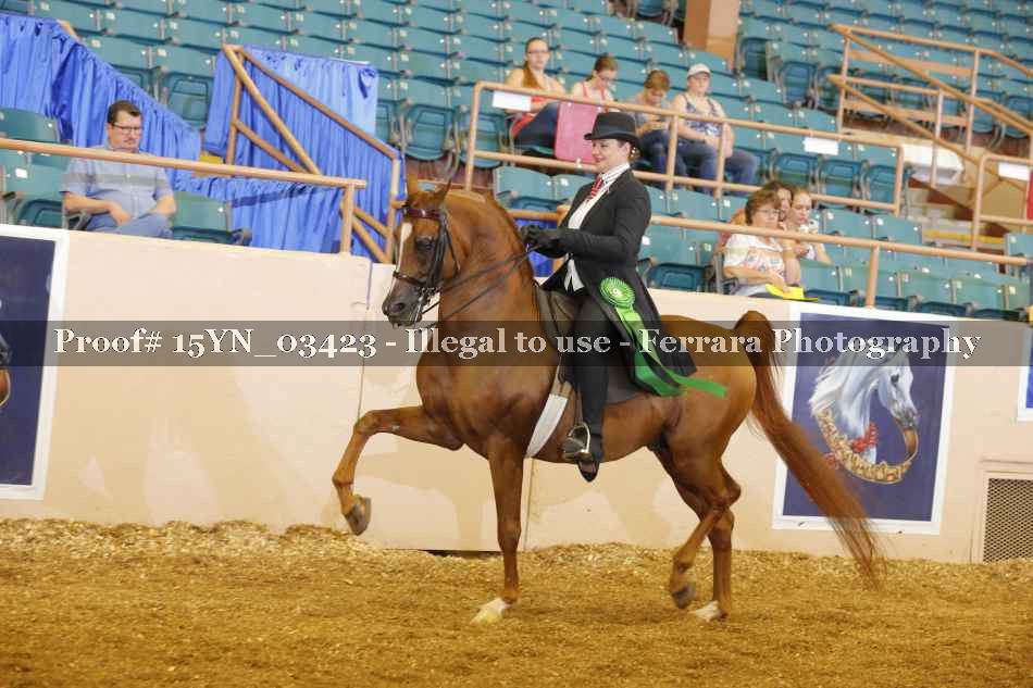 Proof 15YN_03423