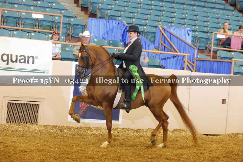 Proof 15YN_03424