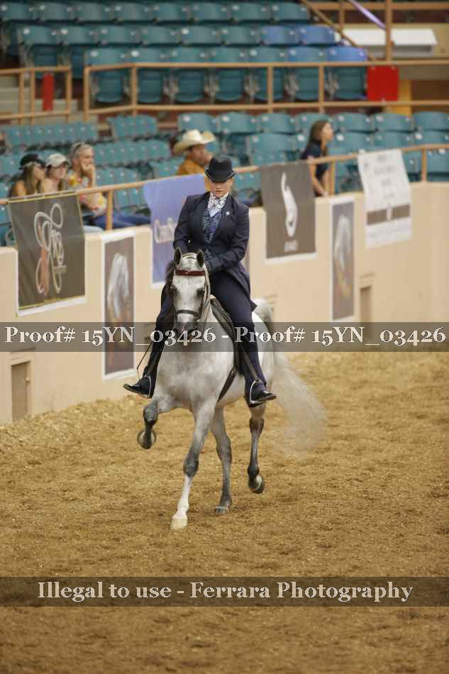 Proof 15YN_03426