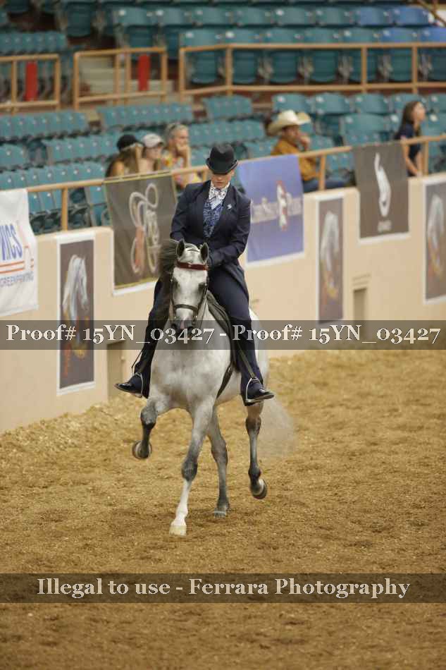 Proof 15YN_03427