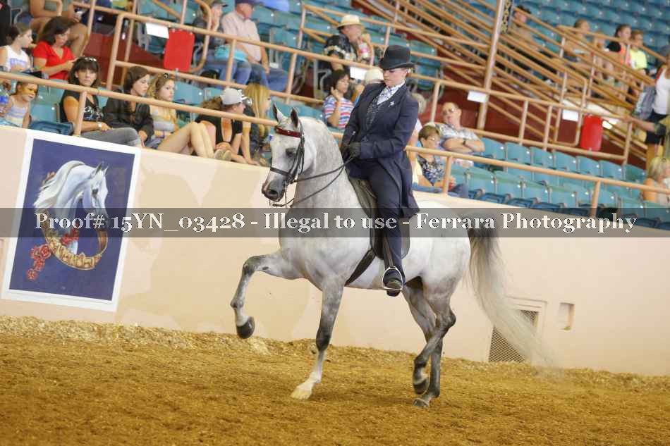 Proof 15YN_03428