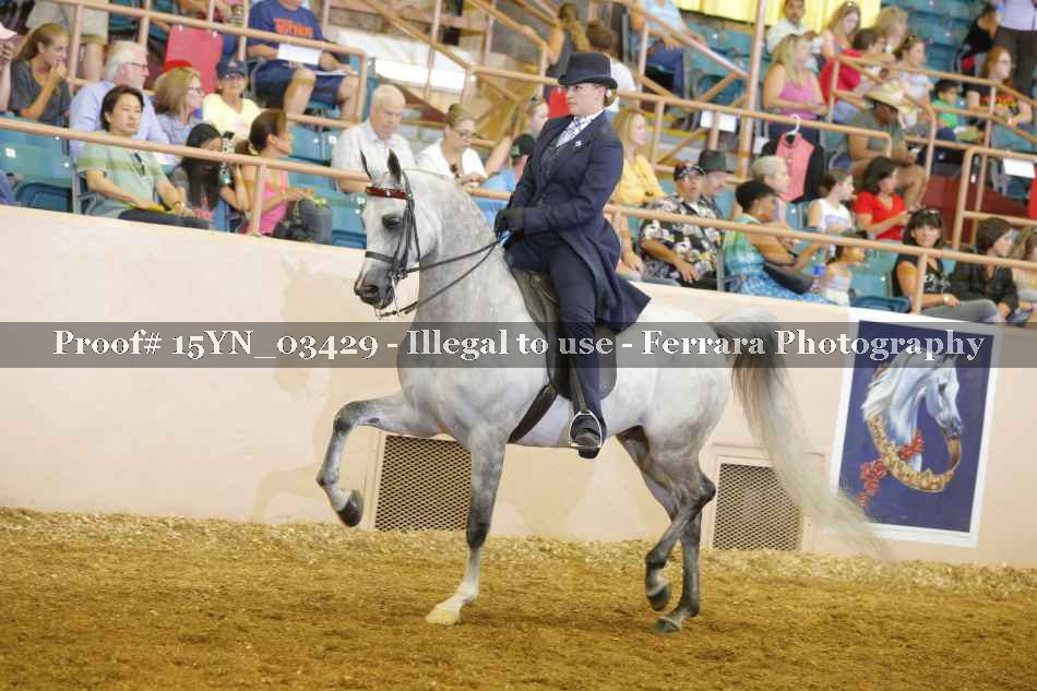 Proof 15YN_03429