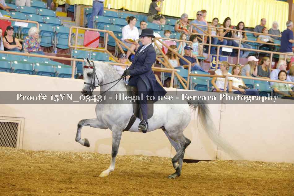 Proof 15YN_03431