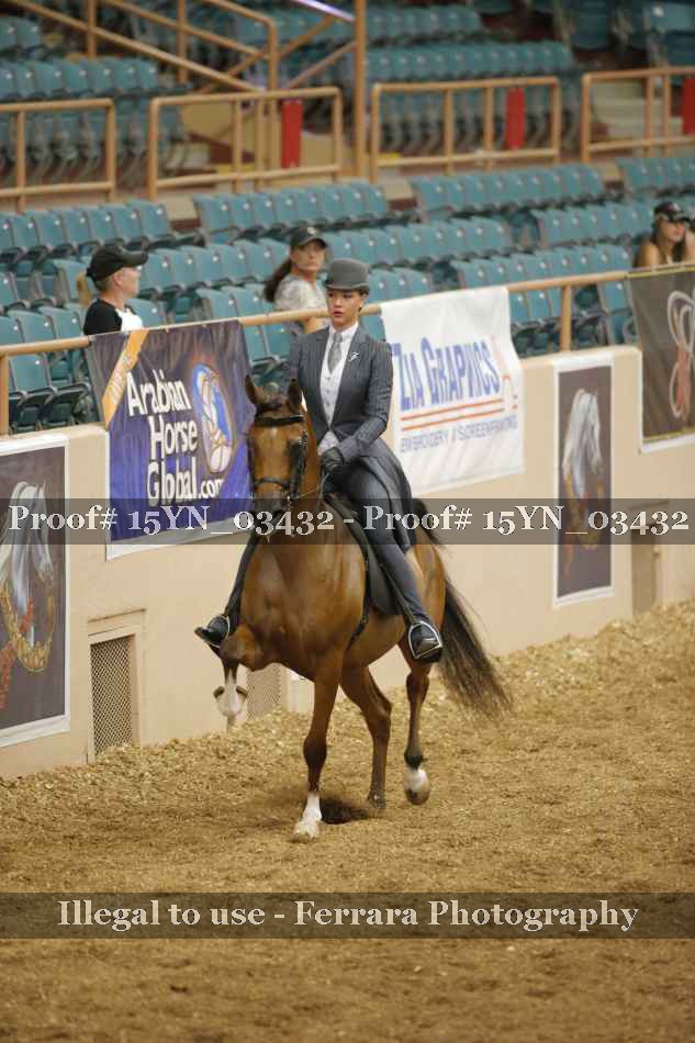 Proof 15YN_03432