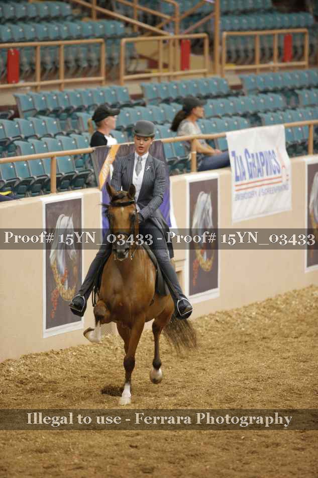 Proof 15YN_03433