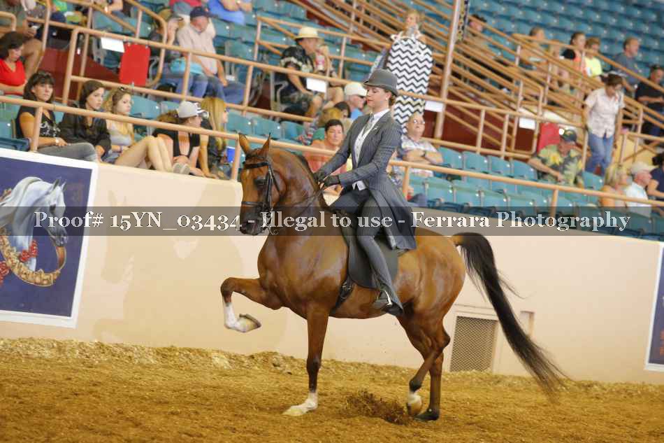 Proof 15YN_03434