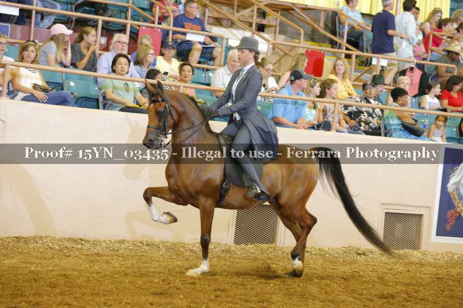 Proof 15YN_03435
