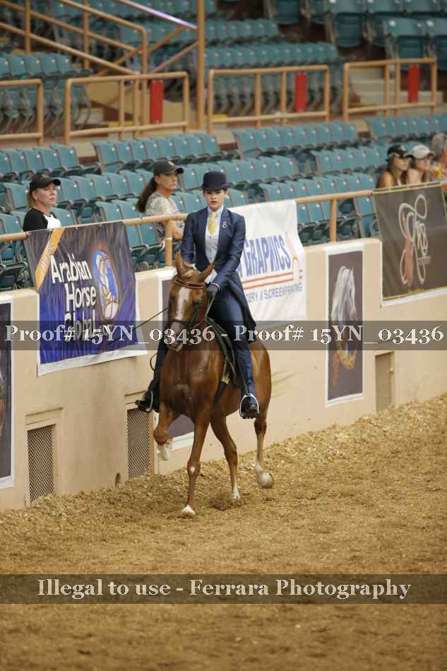 Proof 15YN_03436