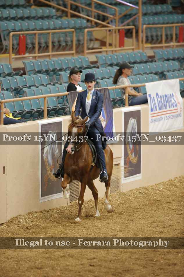 Proof 15YN_03437