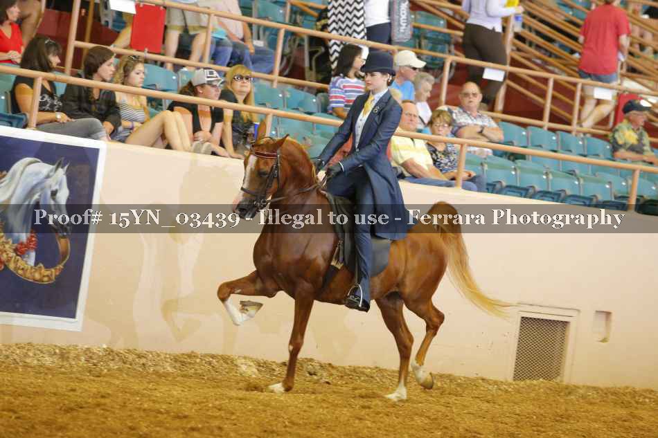Proof 15YN_03439