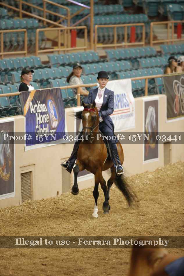 Proof 15YN_03441