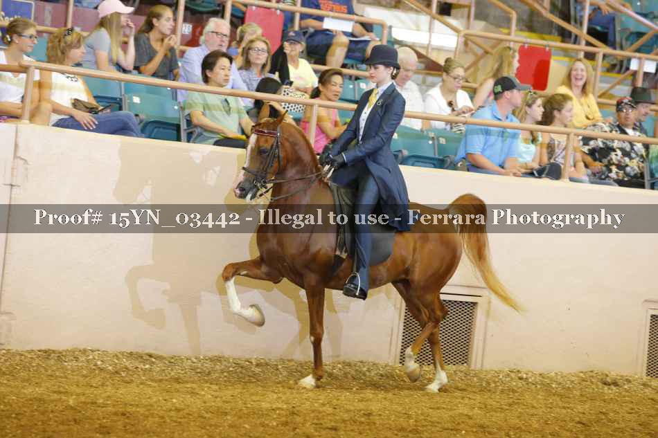 Proof 15YN_03442