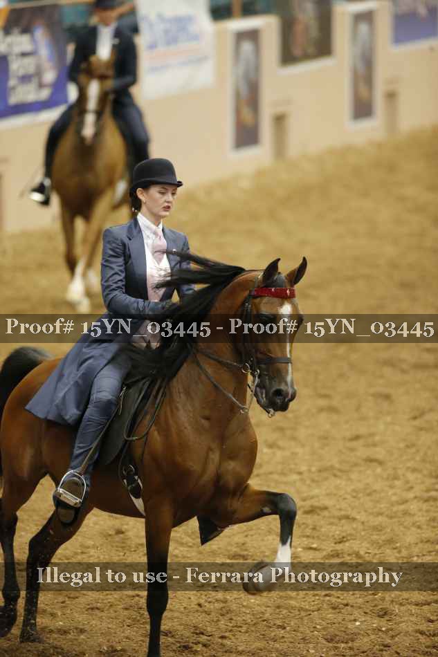 Proof 15YN_03445