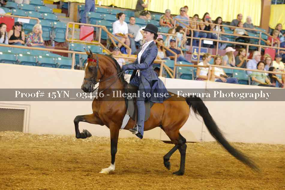 Proof 15YN_03446