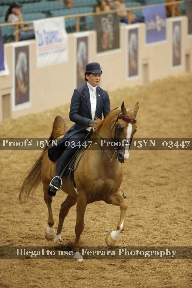 Proof 15YN_03447