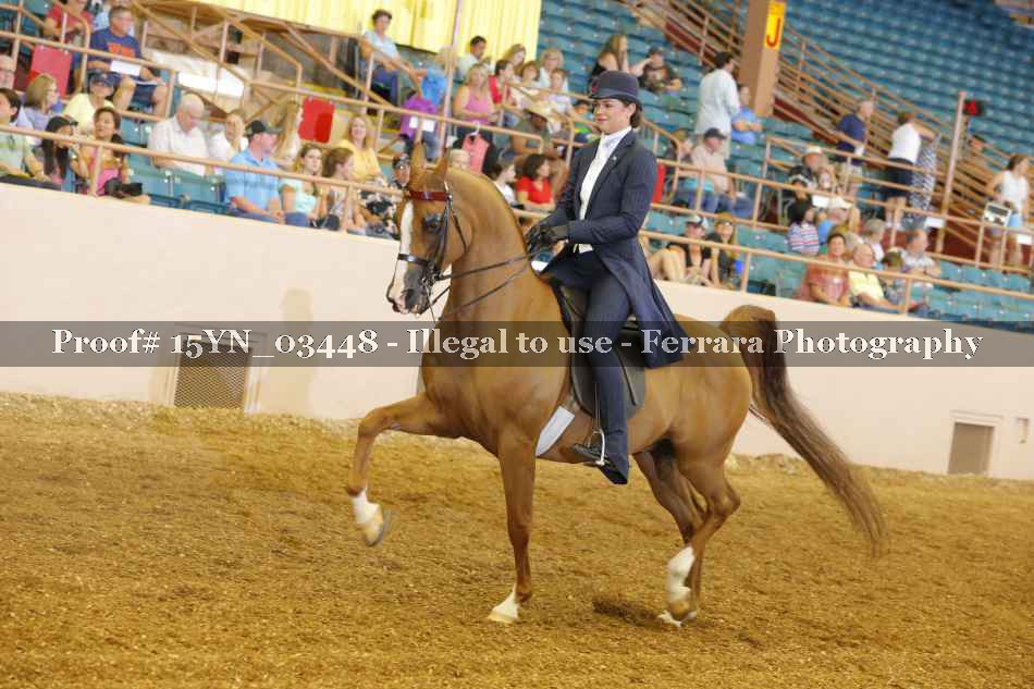 Proof 15YN_03448
