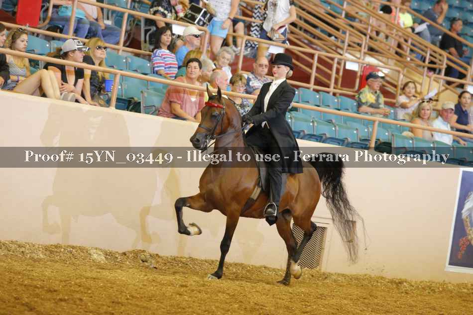 Proof 15YN_03449