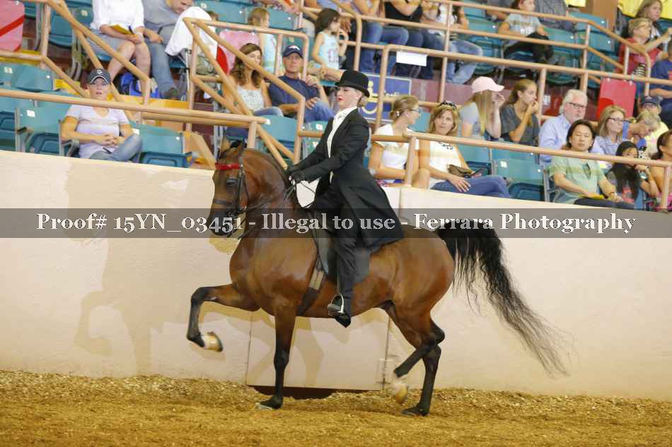 Proof 15YN_03451