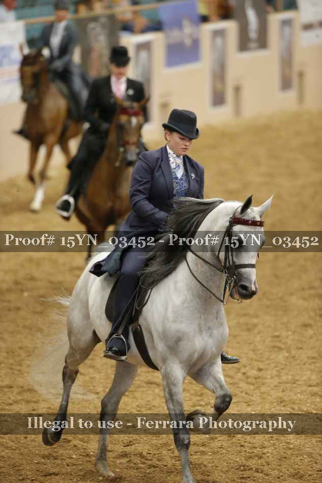 Proof 15YN_03452