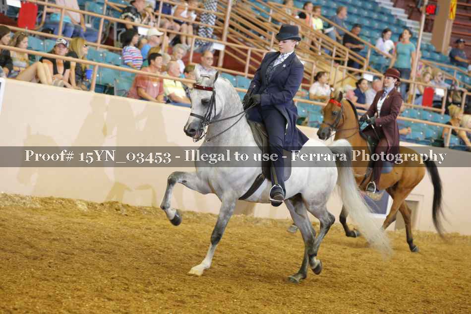 Proof 15YN_03453