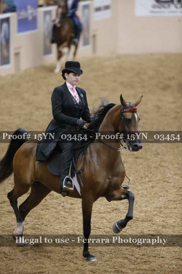 Proof 15YN_03454