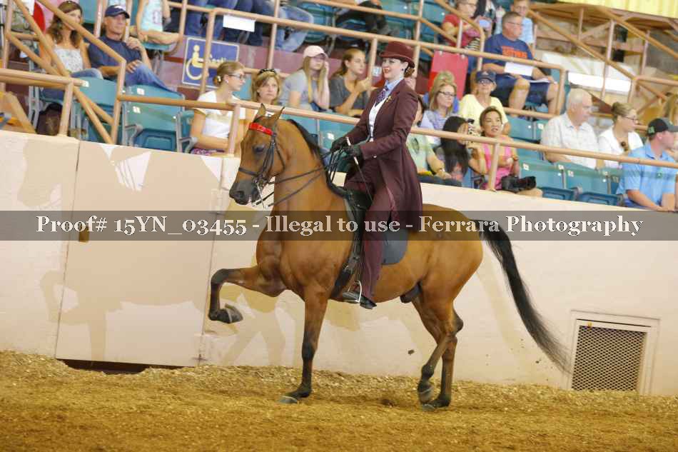 Proof 15YN_03455