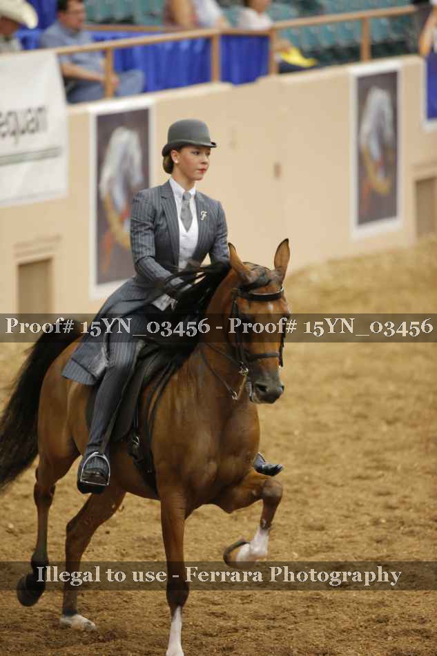 Proof 15YN_03456