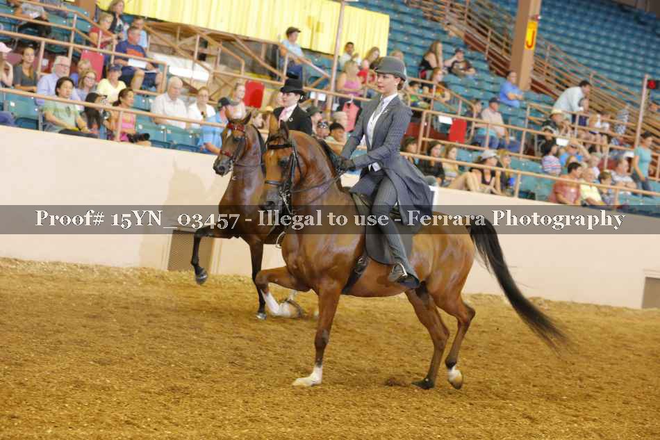 Proof 15YN_03457