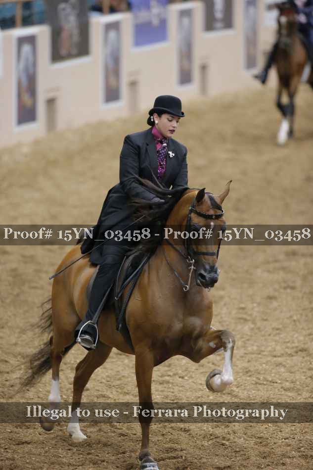 Proof 15YN_03458
