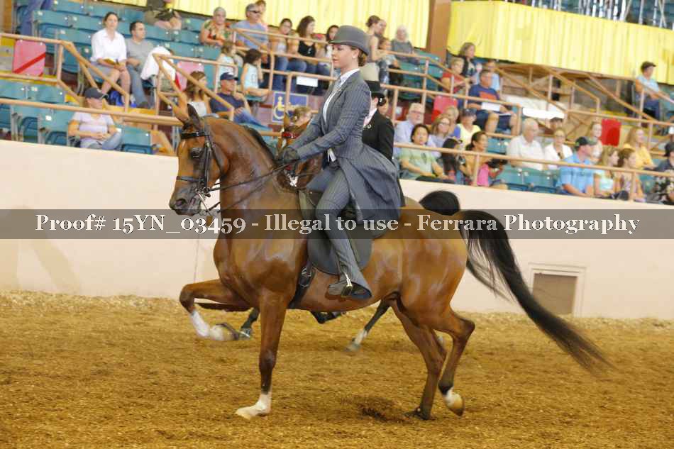Proof 15YN_03459