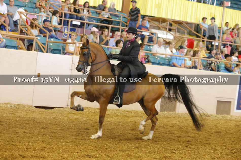 Proof 15YN_03461
