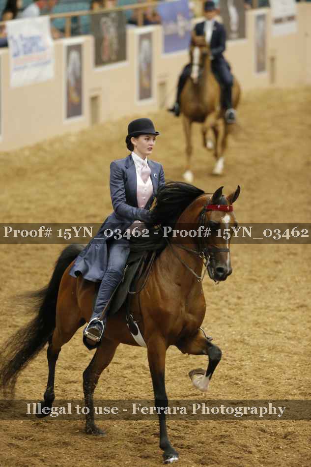 Proof 15YN_03462