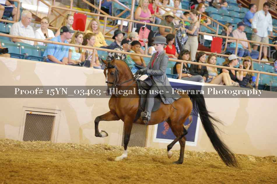 Proof 15YN_03463