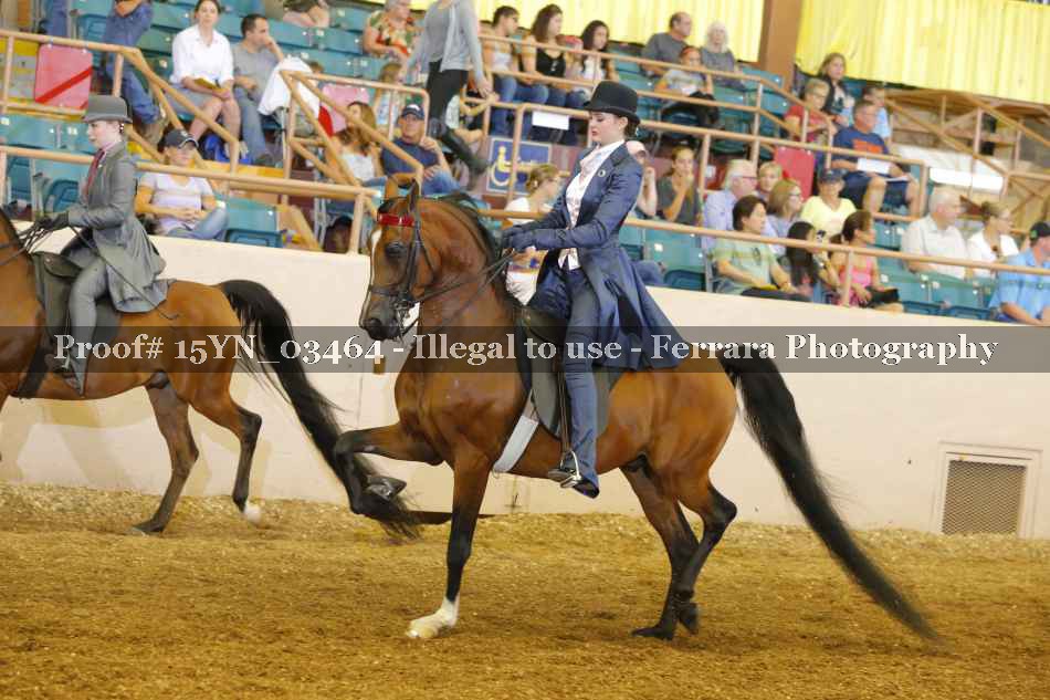 Proof 15YN_03464